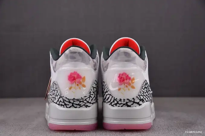 3 Wings HM6993-100 Jordan Retro 0530